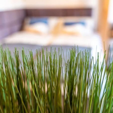 Ferienwohnung Golden Nugget Inkl Wlan, Parkplatz Detmold Exterior foto